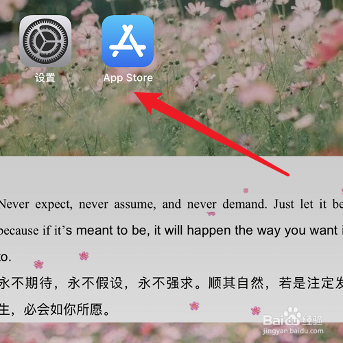 苹果12如何下载软件