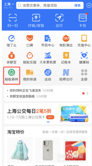 支付宝蚂蚁森林加速器如何获得