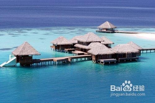 马尔代夫瓦度岛旅游攻略