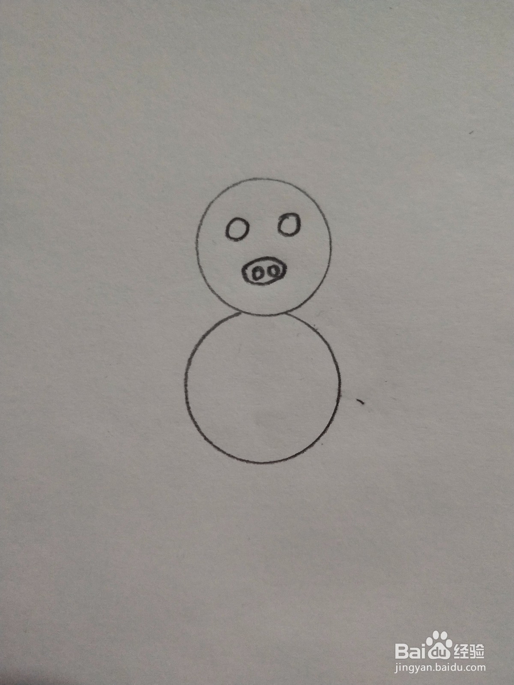 猪简笔画怎么画