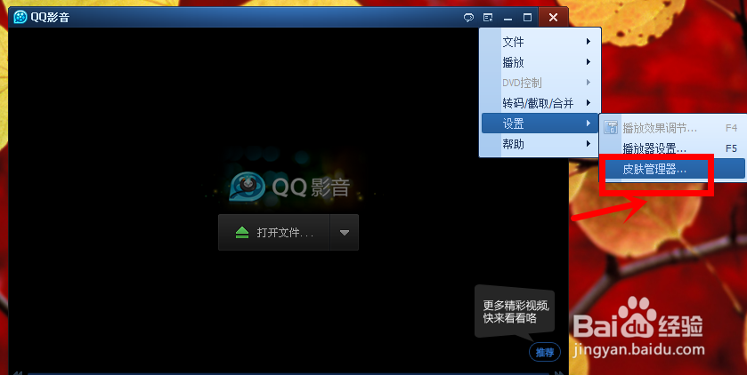 更改QQ影音外观的方法