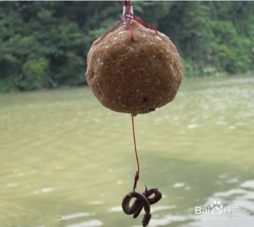 怎么样钓大鲫鱼