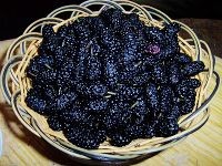 桑葚果汁制作