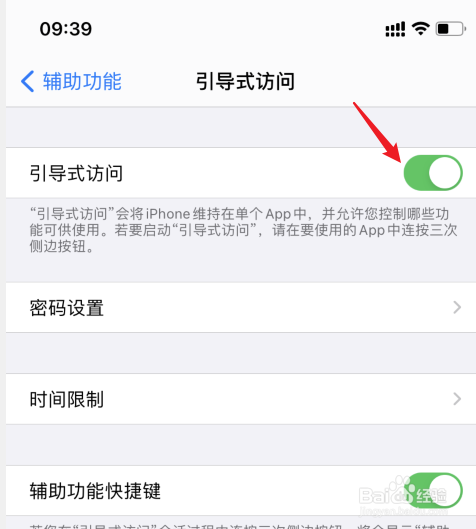 苹果引导式访问设置