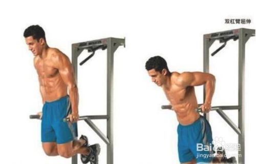 扩大胸肌宽度的锻炼方法图片