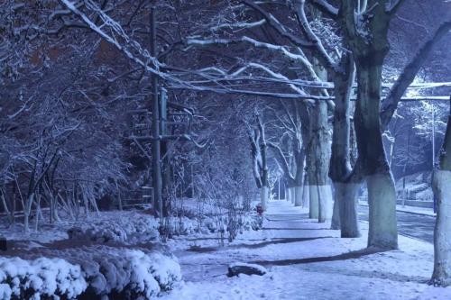 关于雪的诗句——《夜雪》