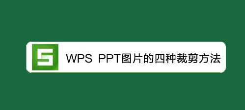 <b>WPS教程：PPT图片的四种裁剪方法</b>