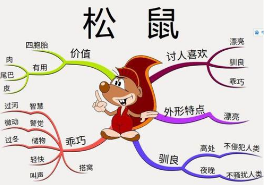 《松鼠》的思维导图急急急