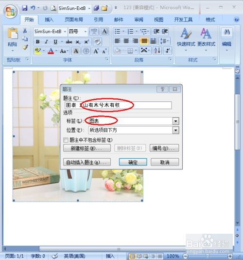 怎样给word中的图片添加注释