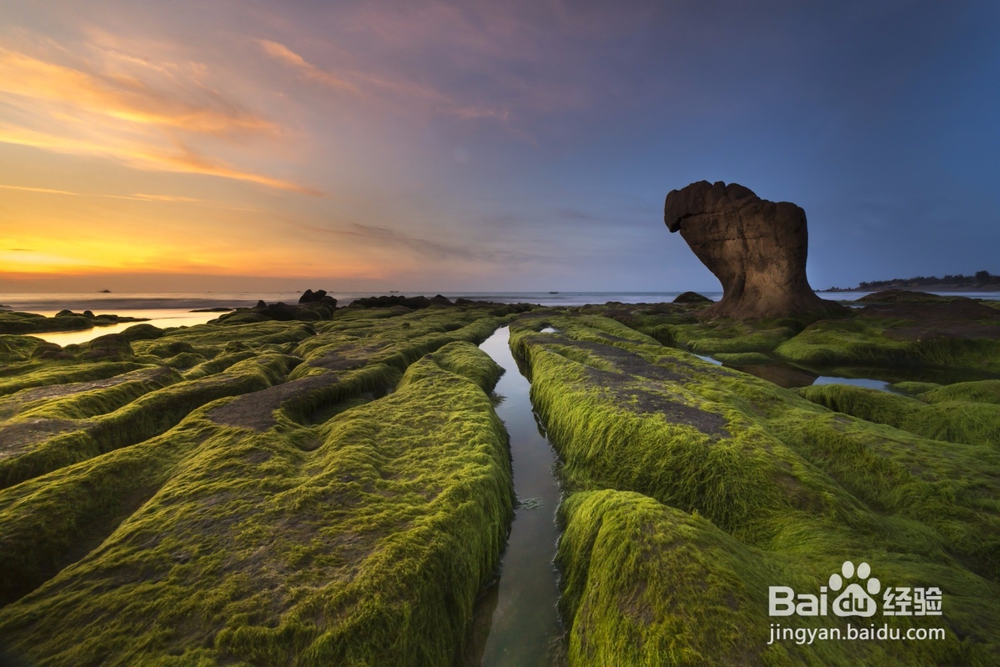虾池塘长青苔怎么办