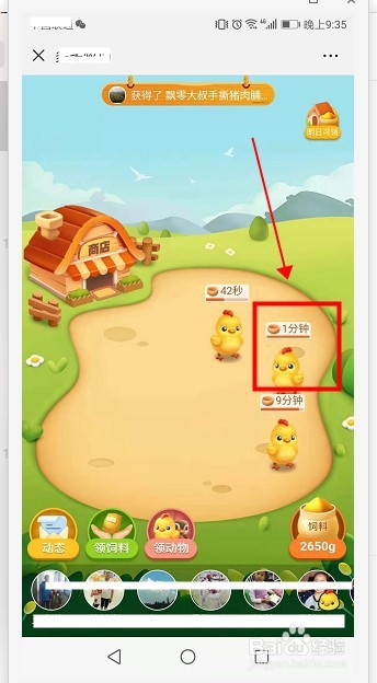 多多牧场收获鸡蛋数量并继续领养母鸡流程