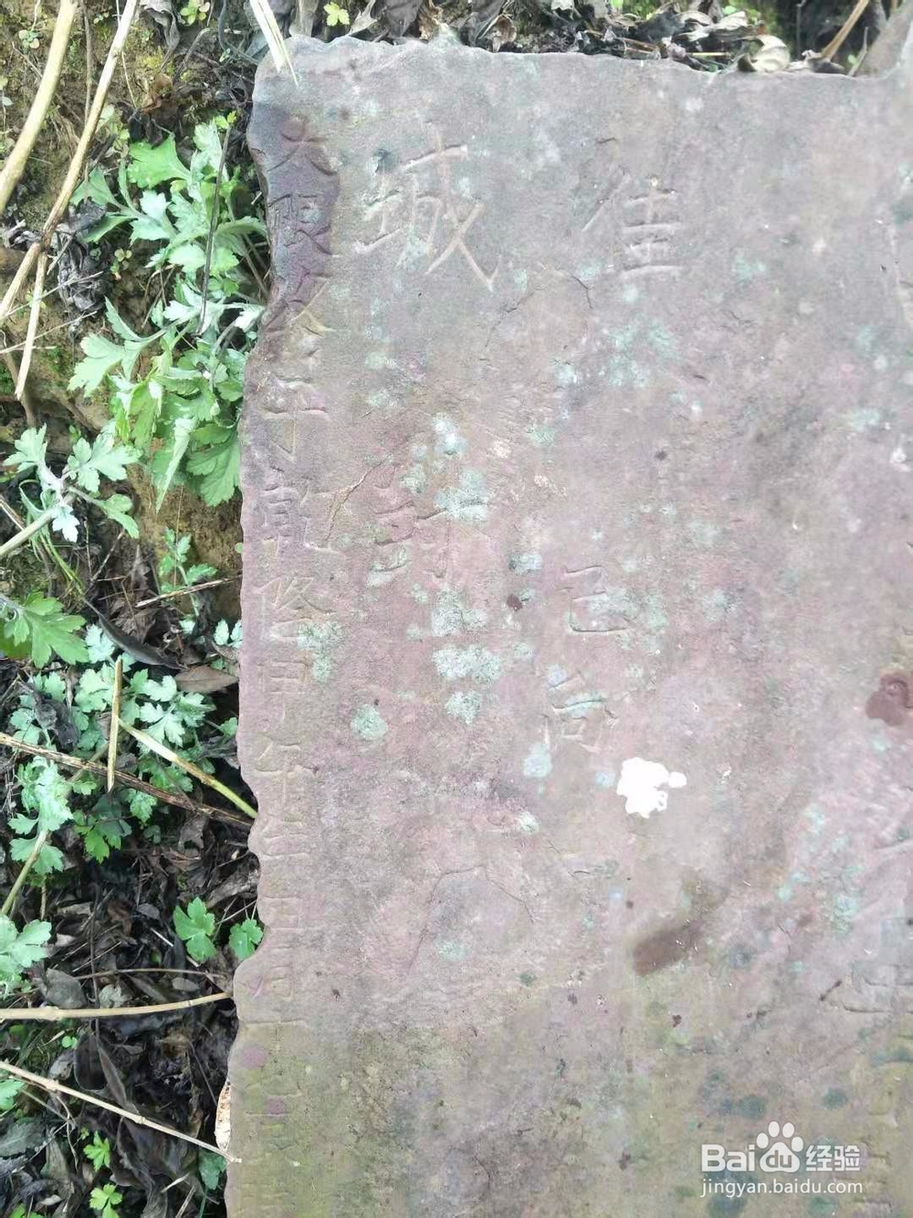 家谱编写收集资料的方法