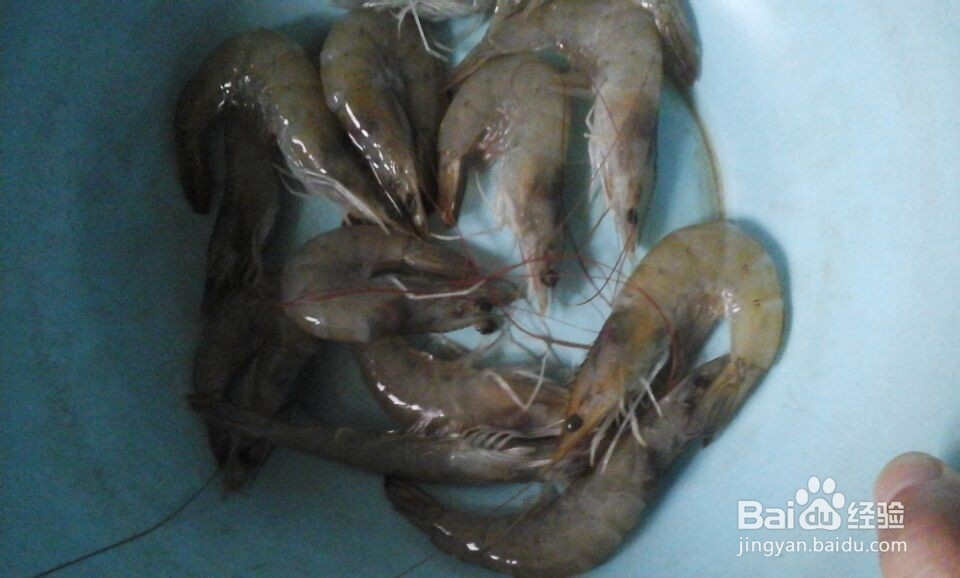 简单好吃的红烧大虾：[1]大虾