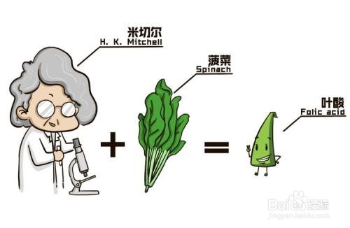 哪些人群适宜补充叶酸？