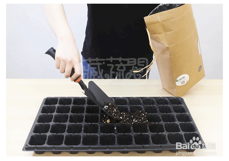 如何在阳台上种满瓜类蔬菜 打造美美的阳台