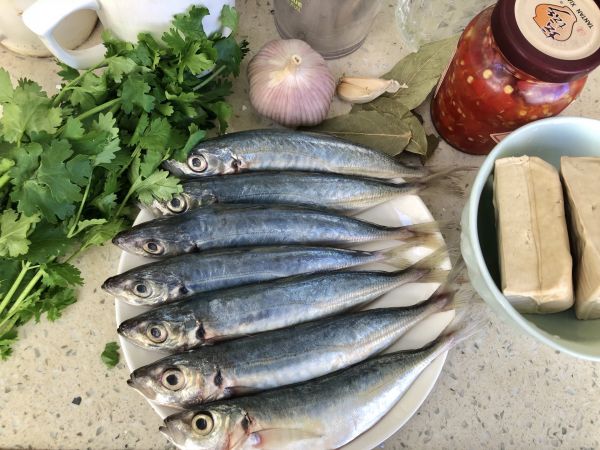 糖醋红烧巴浪鱼
