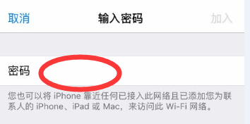 手机网络连接设置工具怎么用