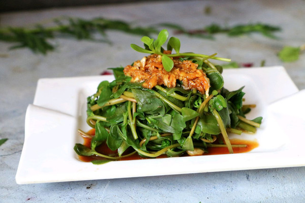 野味小菜凉拌马齿苋