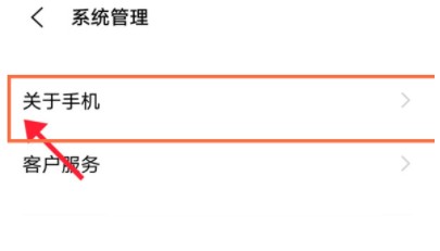 vivoX70进入开发者模式的方法