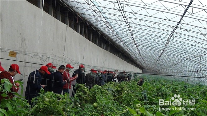 合作社 建设经验做法