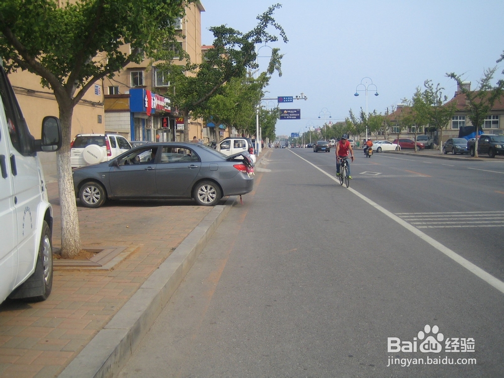 怎样告诉孩子安全过马路--30