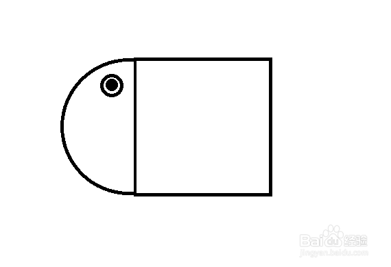 怎么画鱼-简笔画(19)