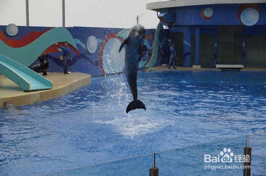 广州到香港海洋公园旅游怎么坐车