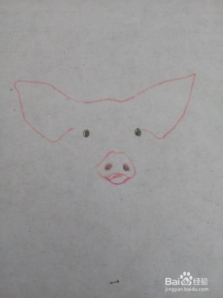 简笔画一只大肥猪