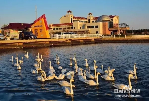 童话美景不只存在书中，看山东现实中的童话影像