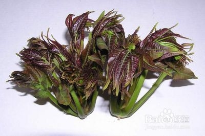 上班族夏季饮食大全：[30]鸡花炸香椿