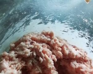 食补佳品白菜馅饺子