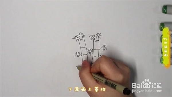 竹子的简笔画怎么画