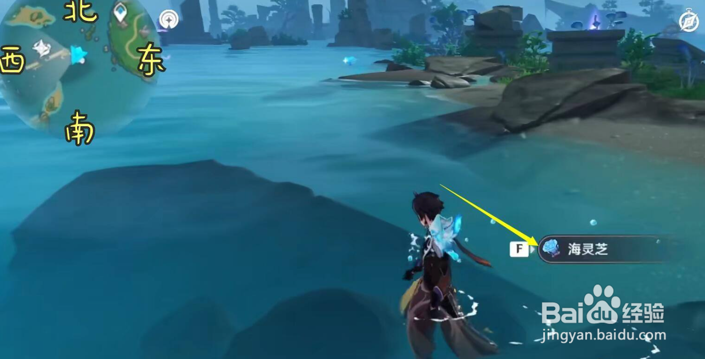 原神无明砦海灵芝获取攻略