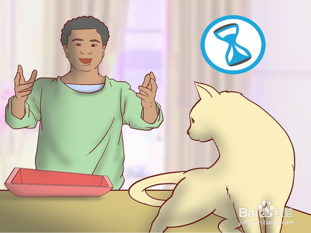 教你如何一只小猫开始养和注意事项有哪些?