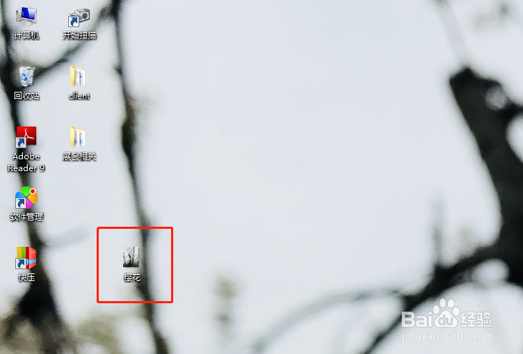 如何在Word插入图片
