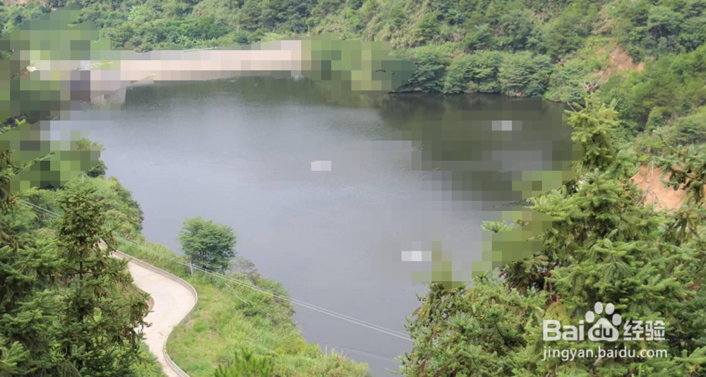 如何利用天利固液分离机TL-800处理猪粪？