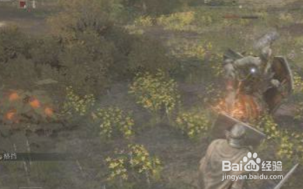 艾尔登法环开荒攻略