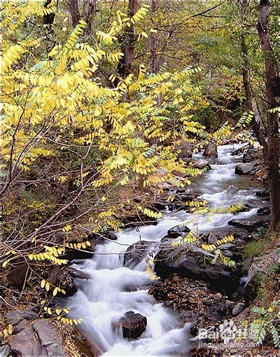 《PS技巧》化腐朽为神奇