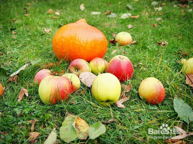 jQuery图片放大查看遮罩代码