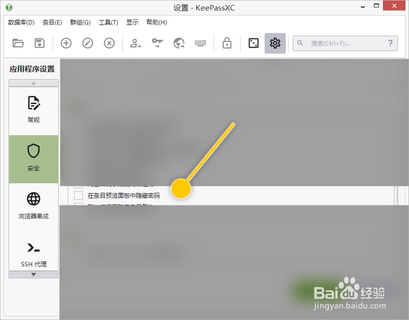 KeePassXC如何在条目预览面板中隐藏密码