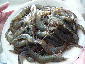 三亚第一市场吃海鲜