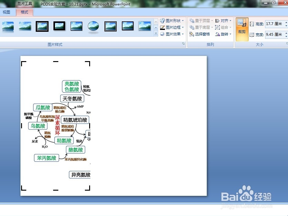 PPT作图一些实用技巧