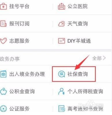 怎样查社保缴费明细