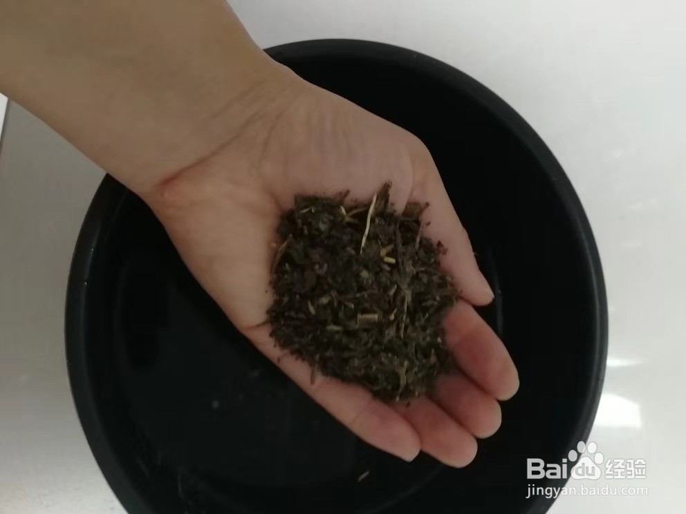 懒人茶叶蛋制作