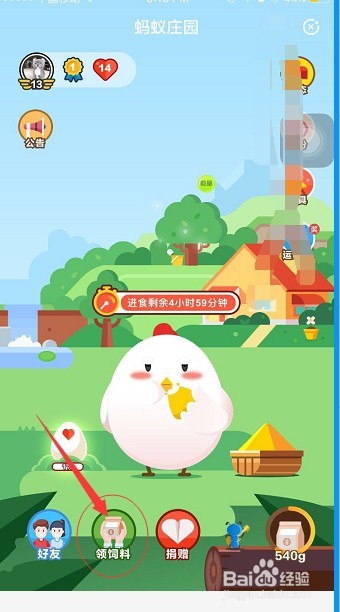 养老金有分红吗?蚂蚁小课堂告诉你答案