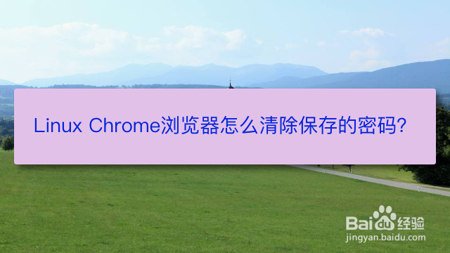 <b>Linux Chrome浏览器怎么清除保存的密码</b>