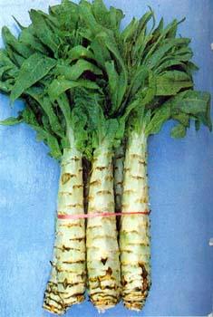 分享助夏季肌肤靓丽的8大养生食物