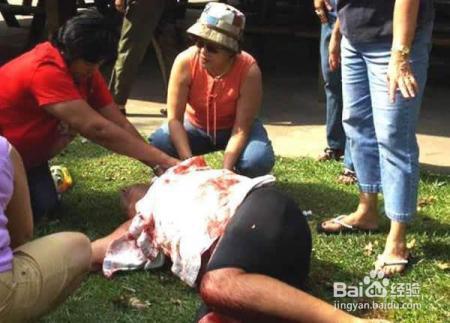 你家的狗狗是不是一兴奋就老扑人？别担心，我有妙招！