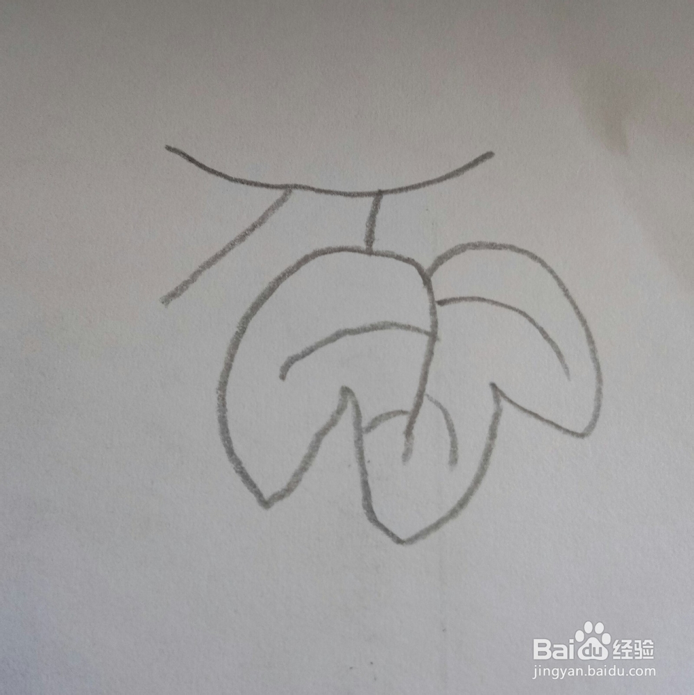 儿童简笔画葡萄的画法3