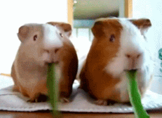 空腹吃这些食物等于慢性自杀?看完更慌了，第一个就经常吃…